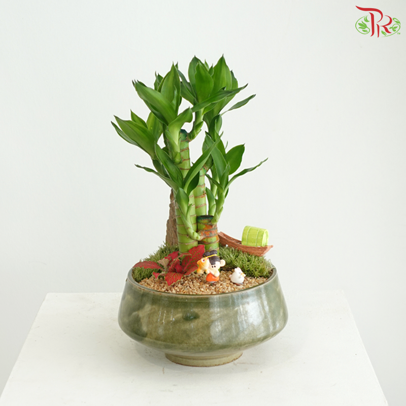 【中秋系列 Mid Autumn Series】Bamboo Blessings Under the Full Moon《月满竹安》