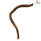 Corylus (4-6FT)  (Per Stem)