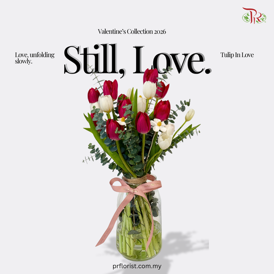 【VDAY 2026】Tulip In Love (S Size)