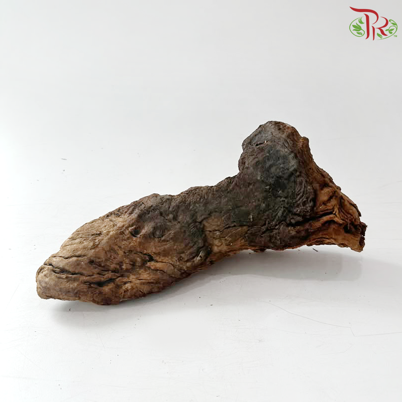 Thousand Layer Wood 千层木 (1KG)