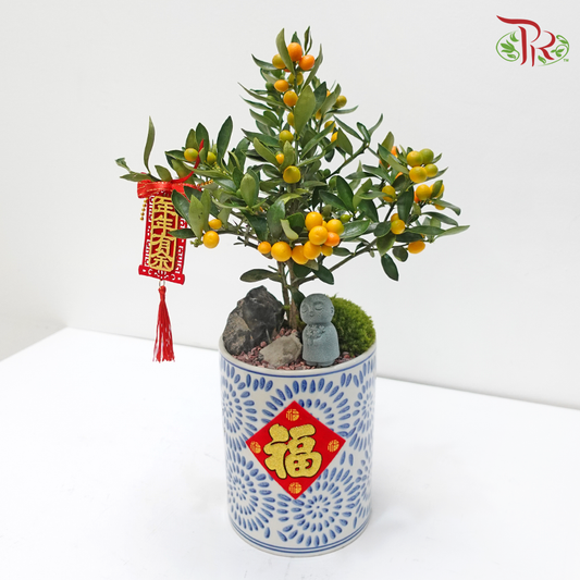 CNY Golden Bean Arrangement in Cylinder Qing Hua Ci Pot《蛇衔金豆》(Random Choose Design, Pot & CNY Ornaments)