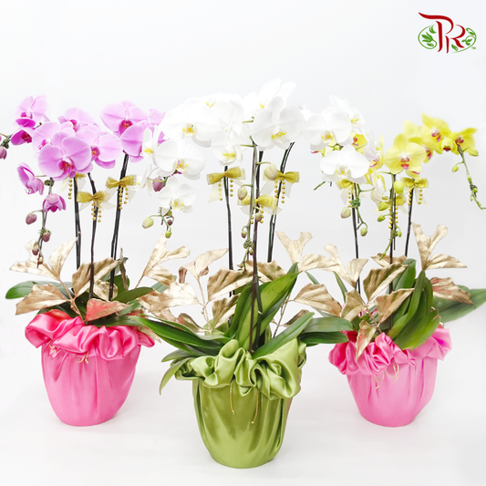 【Gift Series】Harmoni Orchids Arrangement
