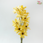 Dried Sunflower-seeds Flower - Yellow