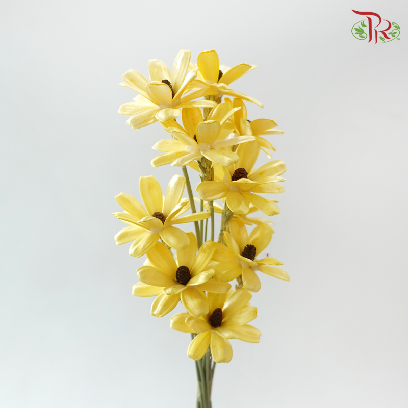 Dried Sunflower-seeds Flower - Yellow