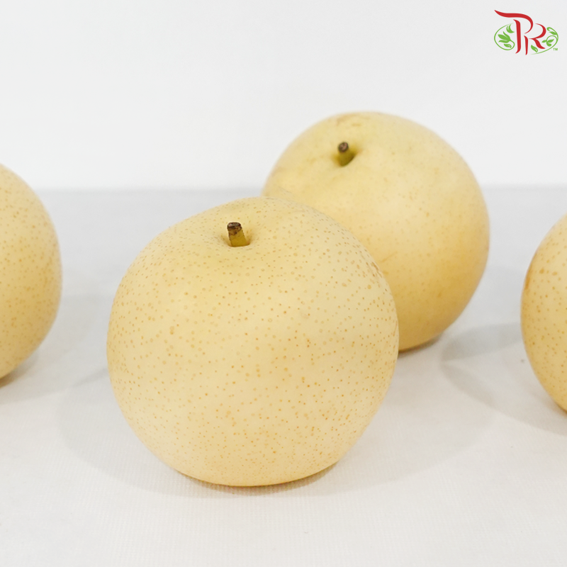 Century Pear《世纪梨》（Per Pack)