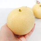 Century Pear《世纪梨》（Per Pack)