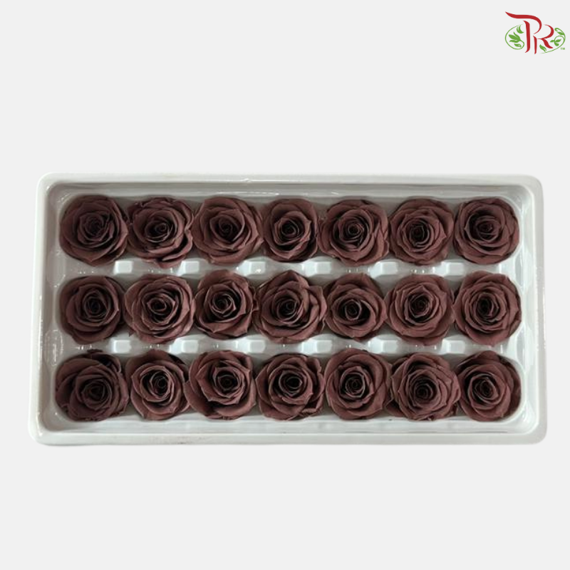 21 Blooms Preserved Roses - Brown