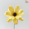 Dried Sunflower-seeds Flower - Yellow