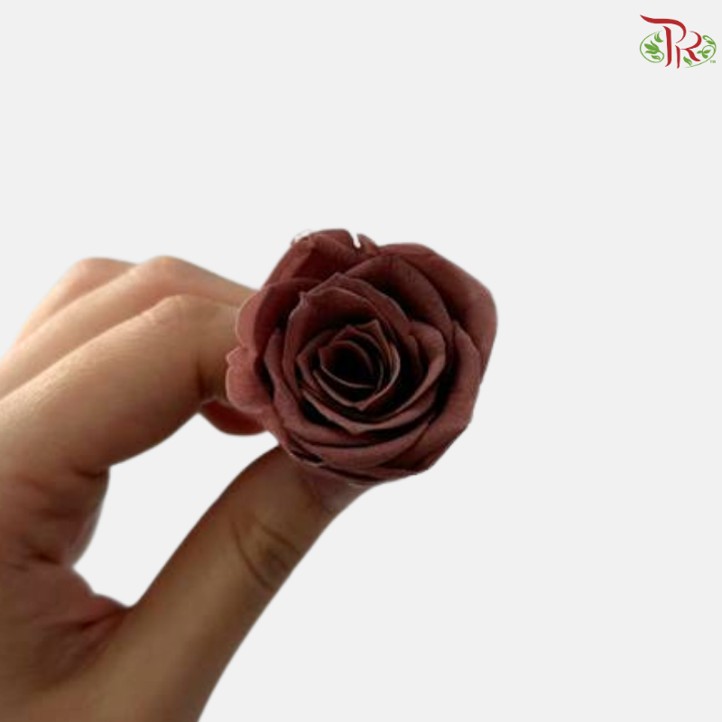 21 Blooms Preserved Roses - Brown