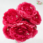 52cm - Artificial Peony Bush - Dark Pink (2 Stems)