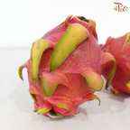 Dragon Fruit - White《火龙果》 (Per Pack)