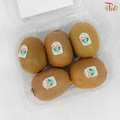 Zespri Green Kiwi Fruit《奇异果》(5PCS Per Box)