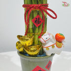 Blessings On the Go《马上有福》