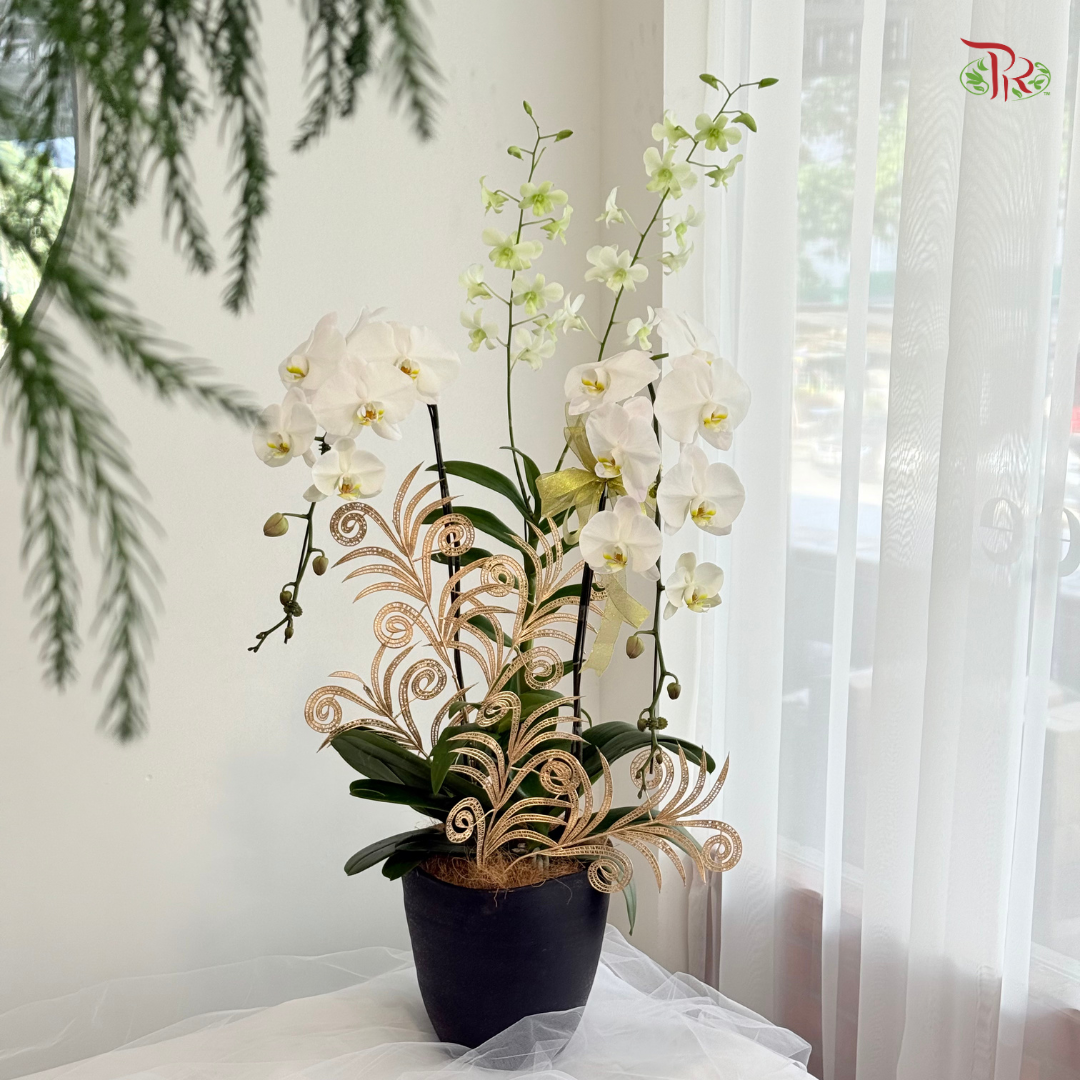 【XMAS 2025】Holiday Bloom 圣诞花语