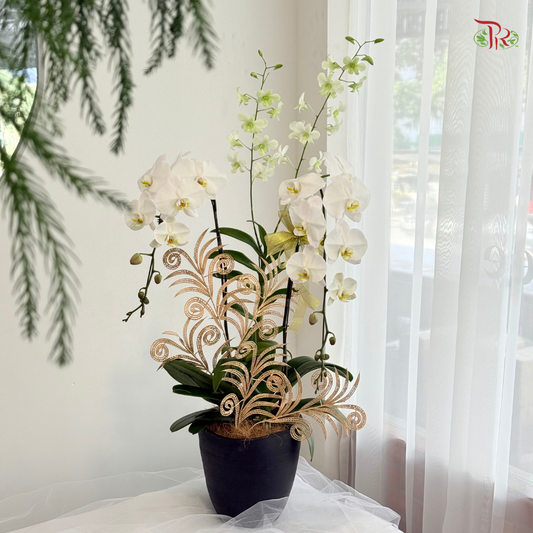 【XMAS 2025】Holiday Bloom 圣诞花语