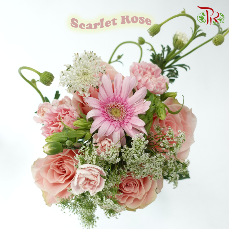 Signature Weekly Flower Bunch - Scarlet Rose (Medium Bunch)