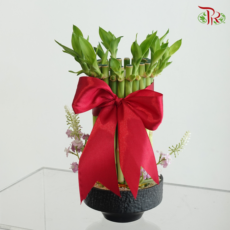 【Mum's Series】Love in Evergreen 《常青的爱》