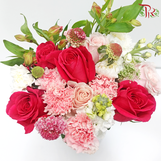 Signature Weekly Flower Bunch - Pink Symphony (Rose, Carnation, Scabiosa & Matthiola) (Big Bunch)