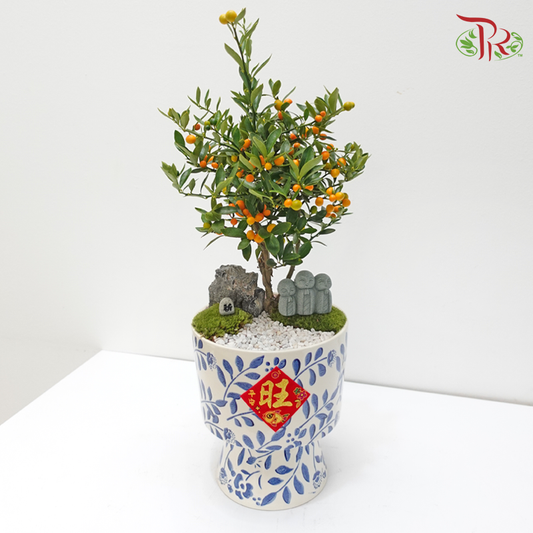 CNY Golden Bean Arrangement in Qing Hua Ci Pot《金豆蛇安》(Random Choose Design, Pot & CNY Ornaments)