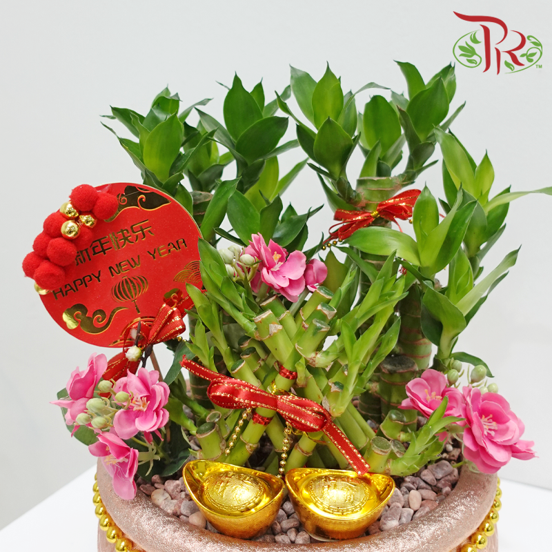 CNY 3 Golden Triangle Bamboo Arrangement《金蛇竹报》(Random Choose Design & CNY Ornaments)