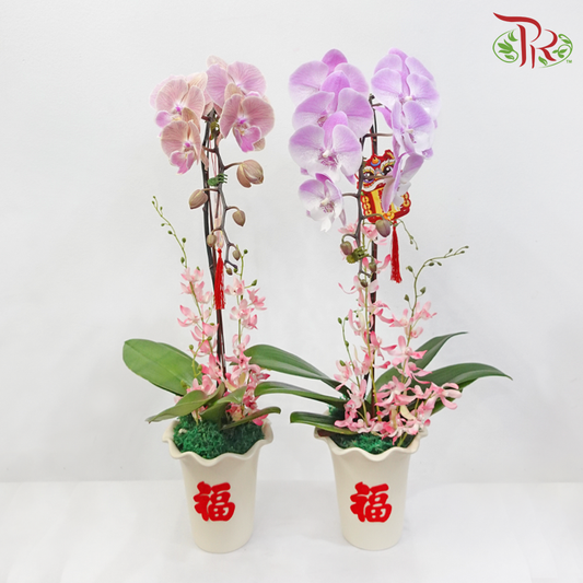 CNY Big Phalaenopsis Orchid Arrangement in Beige Pot (Random Choose Orchid Colour & CNY Ornaments)