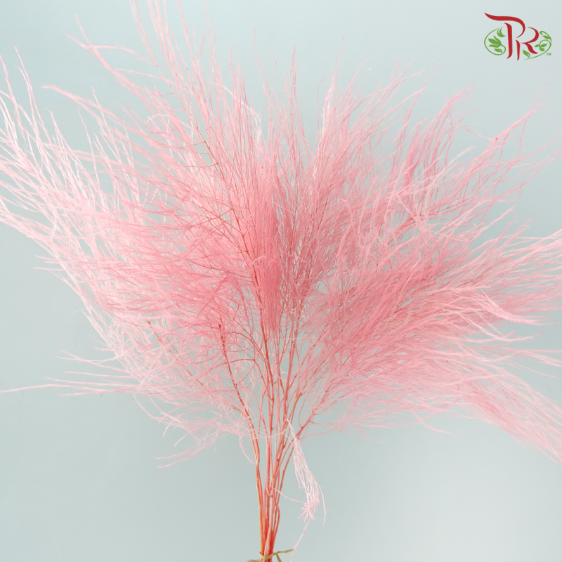 Soft Tiki Fern Preserved - Baby Pink (Per Bunch)