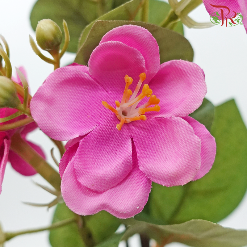 61cm - Artificial Jasmine Spray - Beauty (5 Stems)