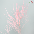 Soft Tiki Fern Preserved - Baby Pink (Per Bunch)