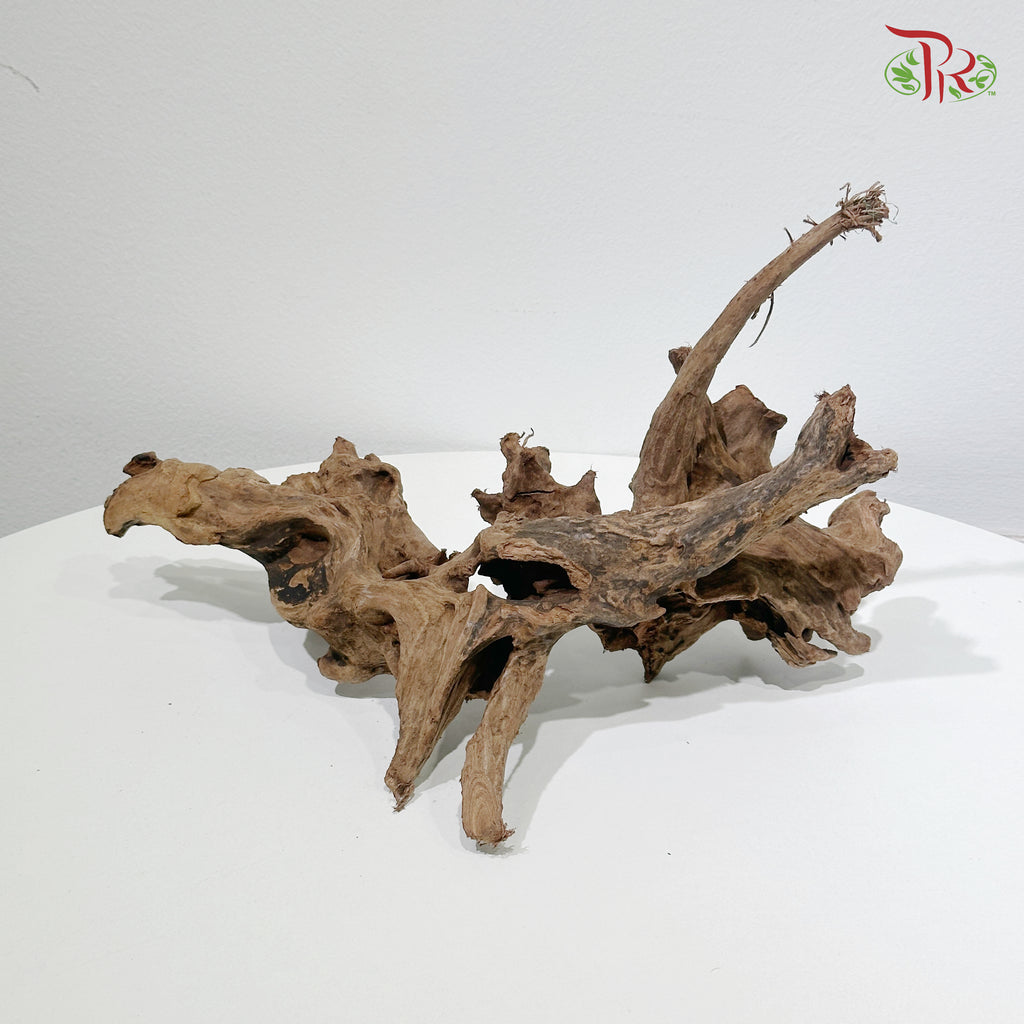 Coral Wood《珊瑚木》1KG