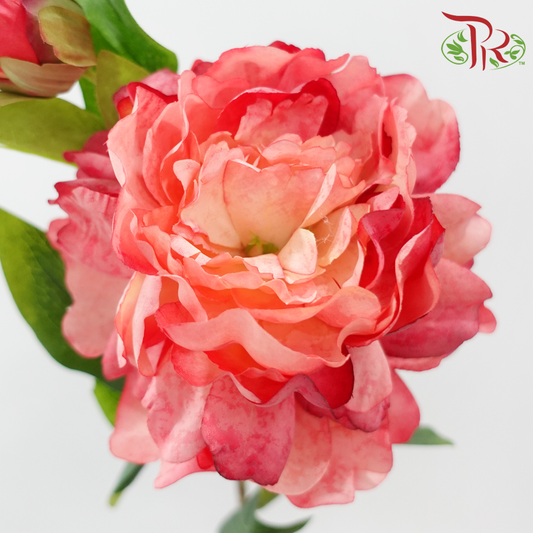 63cm - Artificial Peony Spray - Beauty (5 Stems)