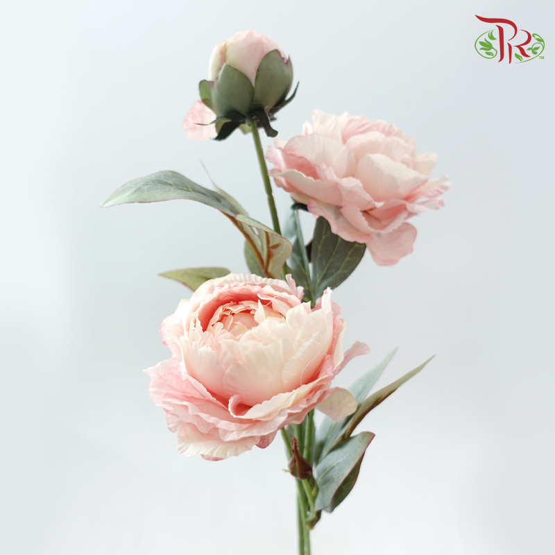 44cm Artificial Peony Blush - Blush Pink (Per Unit)