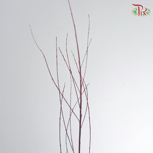 Salix - Dark Red (Per Bunch)