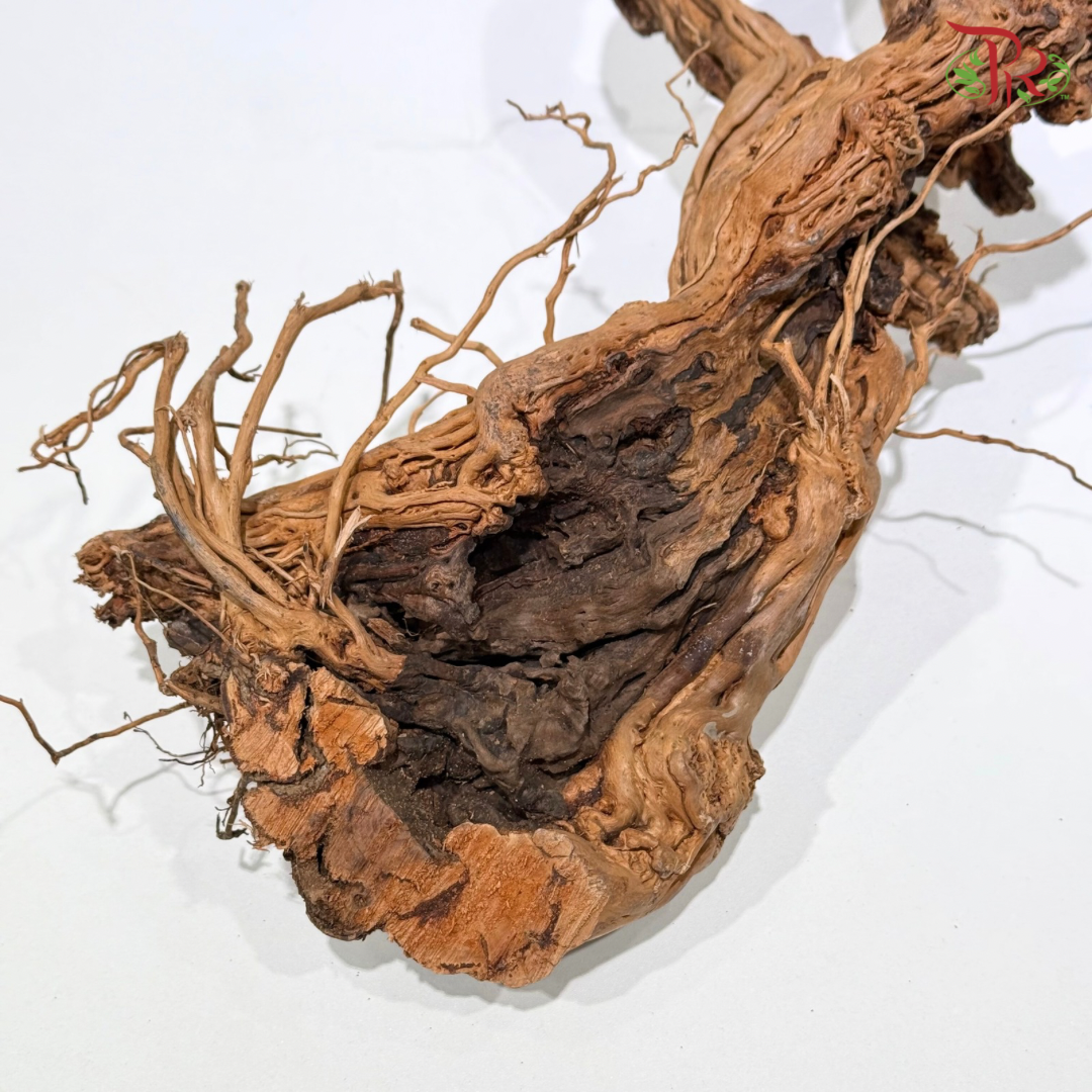 MA HUA TENG WOOD《麻花腾》1KG