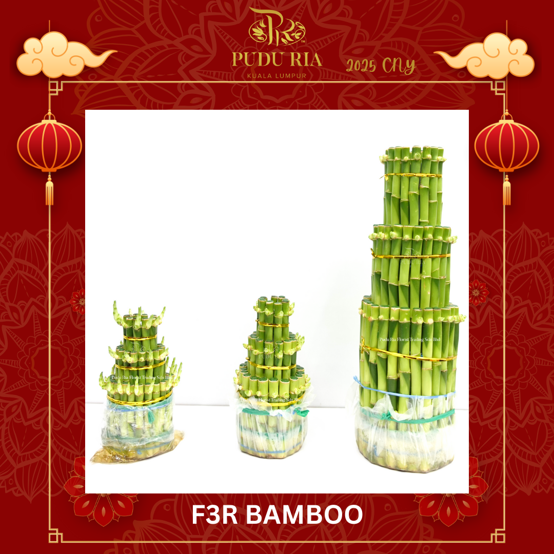 F3R Bamboo ( 17cm/ 20cm/ 40cm) 步步高升