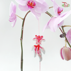 1in1 Orchid Arrangement With Koi Fish Deco & Gold Wrapping Cloth (Random Choose Orchid Color, Design & Deco)