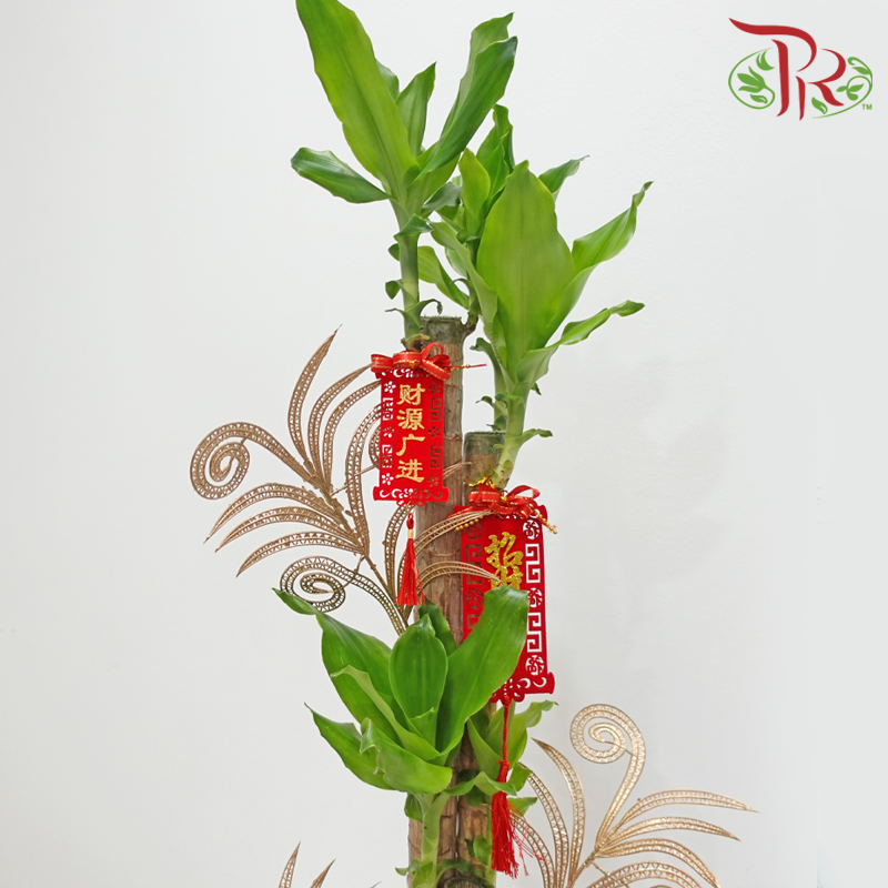 CNY 3FT Iron Tree Arrangement《蛇舞财通》(Random Choose Design & CNY Ornaments)