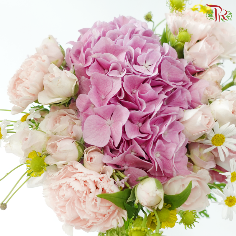 Signature Weekly Flower Bunch - Hydrangea Fairy Garden (Big Bunch)