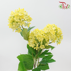 71cm - Artificial Snow Ball Spray - Yellow (2 Stems)