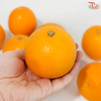Orange《橙子》(Per Pack)
