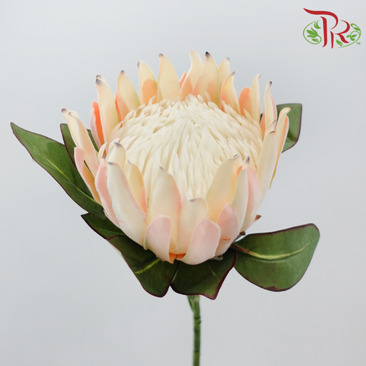 76cm - Artificial Protea Spray - Peach (Per Stem)