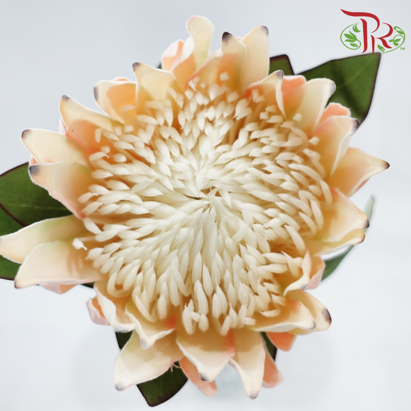 76cm - Artificial Protea Spray - Peach (Per Stem)