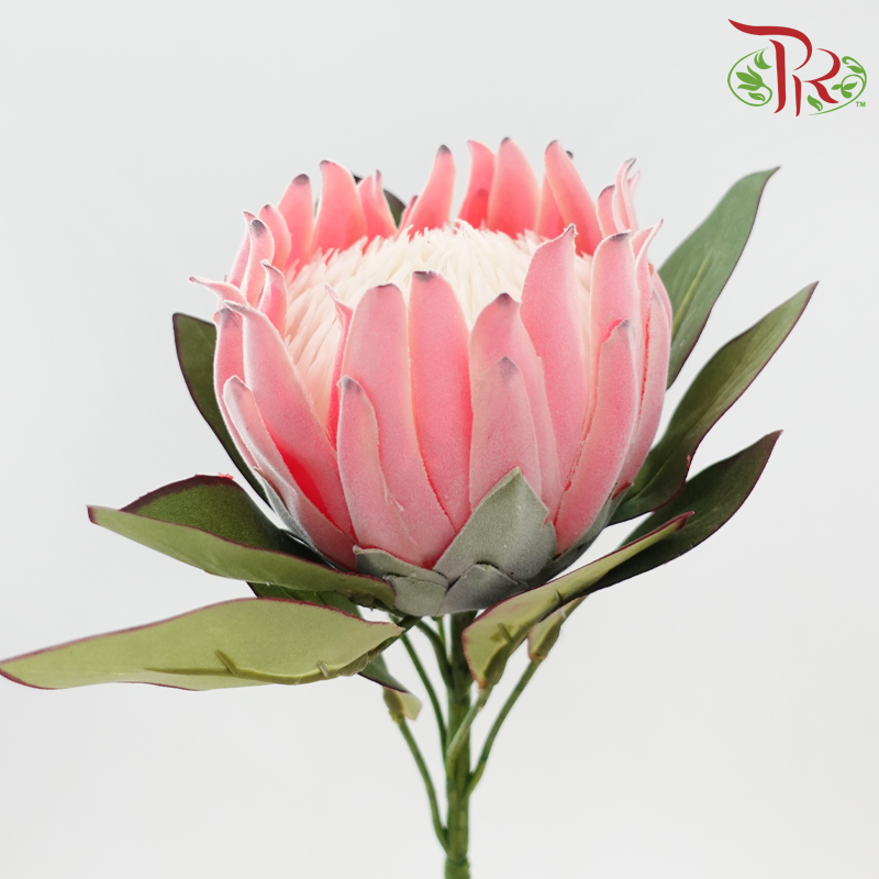 76cm - Artificial Protea Spray - Pink (Per Stem)