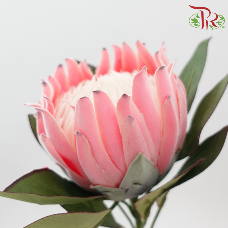 76cm - Artificial Protea Spray - Pink (Per Stem)