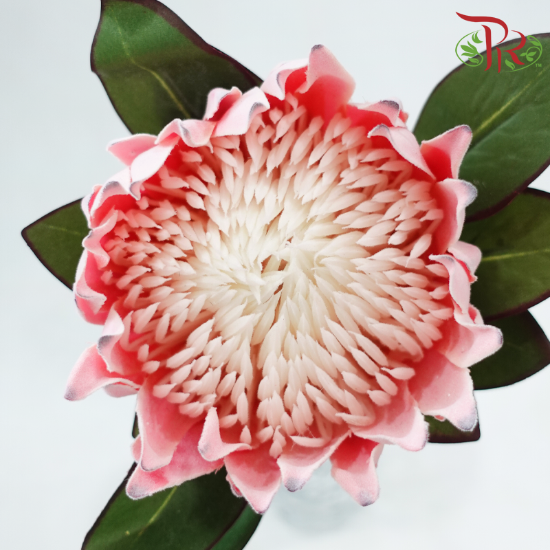 76cm - Artificial Protea Spray - Pink (Per Stem)