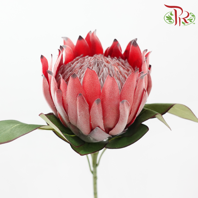 76cm - Artificial Protea Spray - Red (Per Stem)