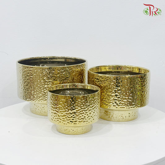 TX-WD10233C Gold Pot (With Size Option)