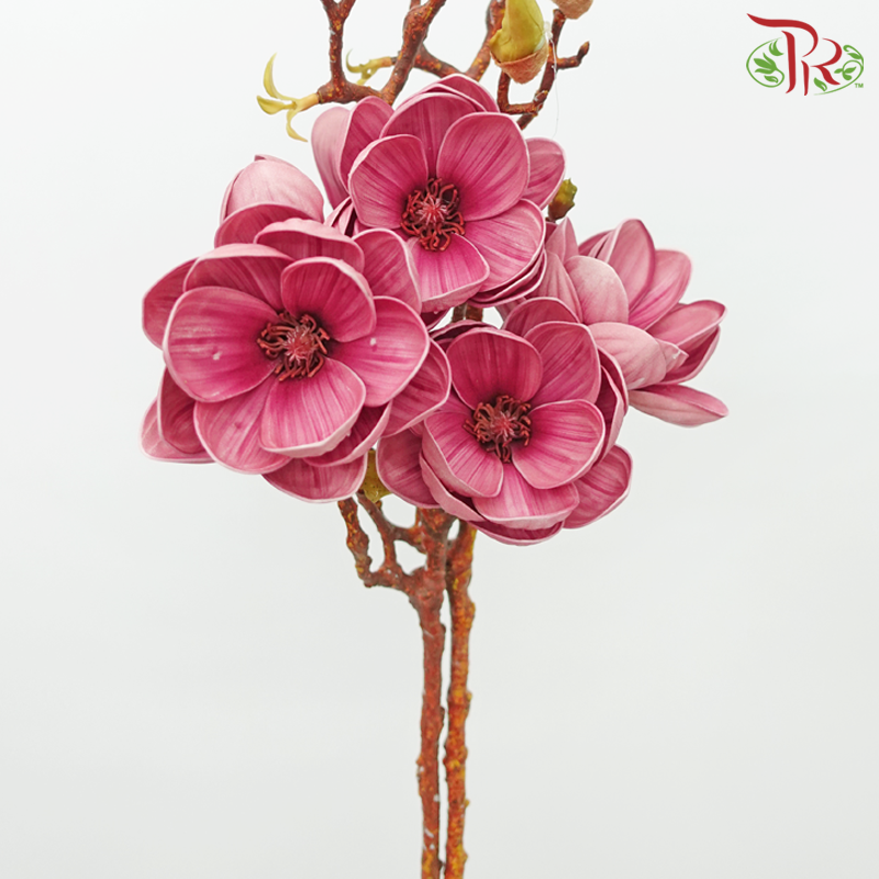 79cm - Artificial Magnolia Spray - Dark Pink (2 Stems)-Dark Pink-Pudu Ria Florist-prflorist.com.my