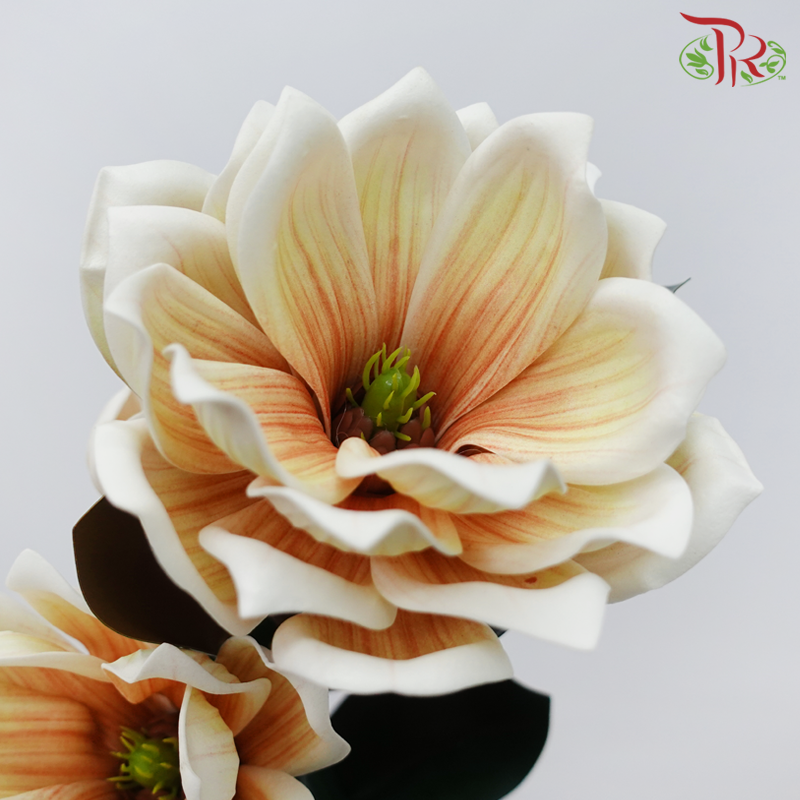 79cm - Artificial Magnolia Spray - Double White & Yellow Tone With Orange Inner Line (2 Stems)-Double White & Yellow Tone With Orange Inner Line-Pudu Ria Florist-prflorist.com.my