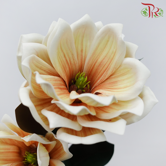 79cm - Artificial Magnolia Spray - Double White & Yellow Tone With Orange Inner Line (2 Stems)-Double White & Yellow Tone With Orange Inner Line-Pudu Ria Florist-prflorist.com.my