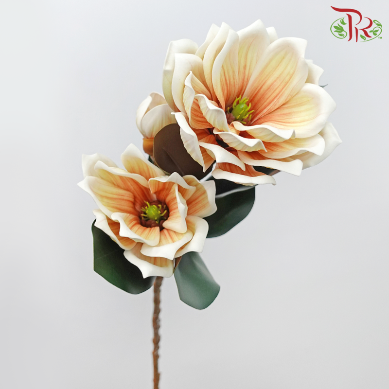 79cm - Artificial Magnolia Spray - Double White & Yellow Tone With Orange Inner Line (2 Stems)-Double White & Yellow Tone With Orange Inner Line-Pudu Ria Florist-prflorist.com.my
